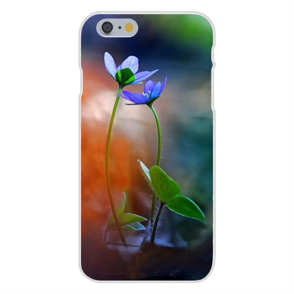 20141115224458_zGf3R.thumb.700_0