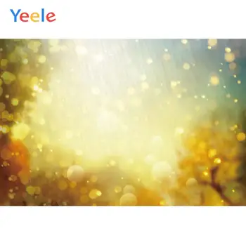 

Yeele Autumn Gold Sunshine Bokeh Fallen Leaves Photography Backgrounds Customized Photographic Backdrops for Photo Studio
