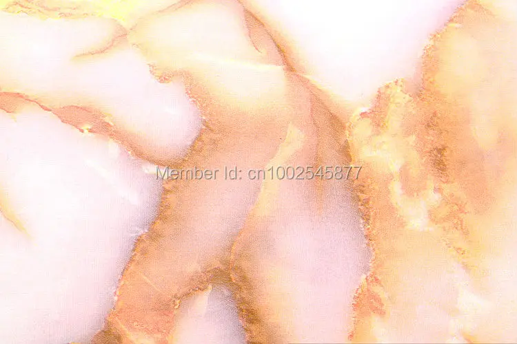 DPP-21738