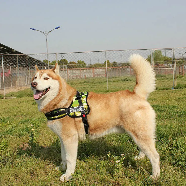 Пэт Аксессуары Большая Собака Жилет Использовать Мягкие Регулируемые Спорт