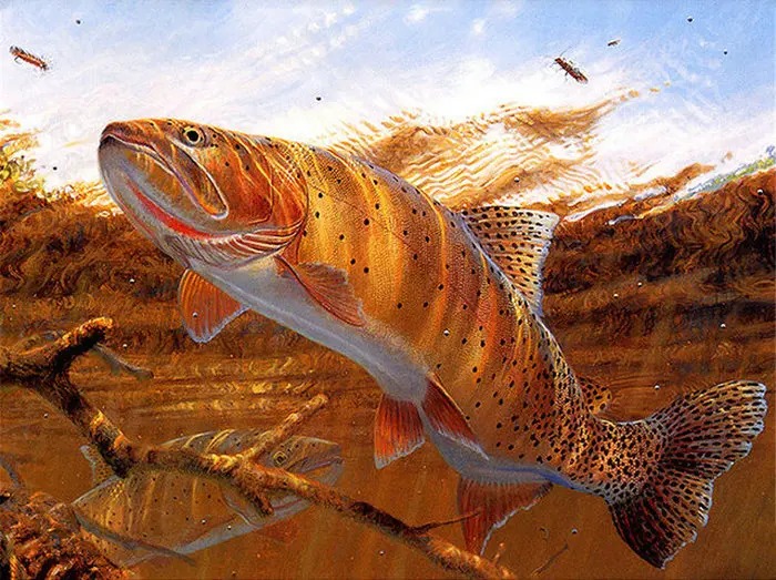 Full-Diamond-Painting-Full-square-Diy-Diamond-Embroidery-Fish-Series-paintings-from-crystals-Decoration-For-Living.jpg_640x640