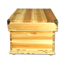 Инструменты для пчеловодства стандартные десять коробок сосны пчелиный улей полный набор пчелиного воска вареный воск пчелиный улей плоская коробка птичья коробка-гнездо