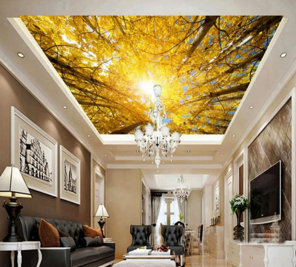 conew_Ceiling wallpaper 3
