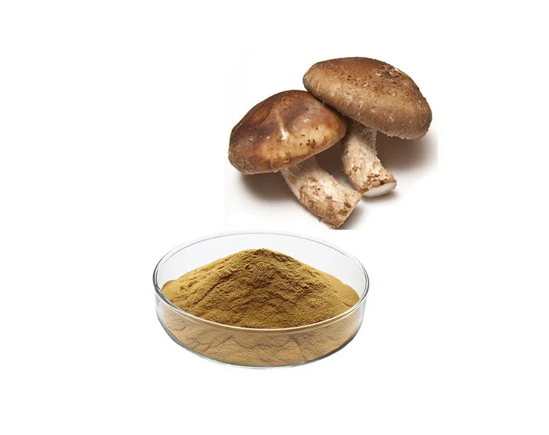 

500g Shiitake Extract 50% Polysaccharide Pow-der Mushroom Polysaccharide