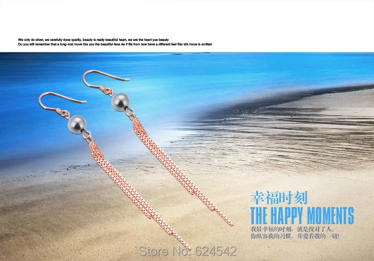 SE212621dj-1