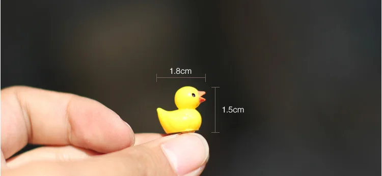 3355542767_393786582