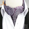 Cravate de cou en Polyester pour hommes | Vintage, géométrique, motif Paisley, cravate de mariage formelle, Ascot Scrunch, style britannique, luxe ► Photo 3/6