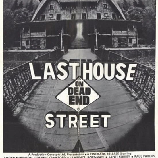 Last House on Dead End Street Movie Poster (11 x 17)