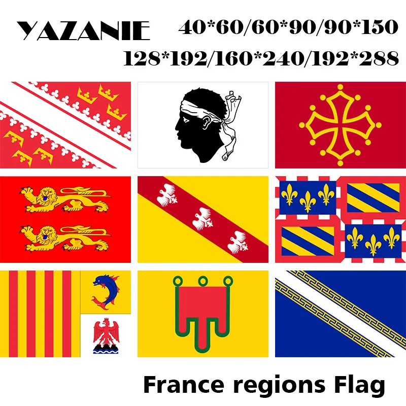BRITTANY FLAGS 90 FRANCE FRENCH PROVINCE OF BRITTANY FLAG 3/' x 5/' for a pole