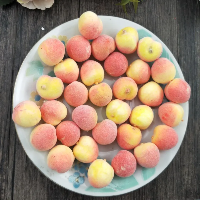 

High-grade Mini Simulation Fruit Vegetable Kitchen Toys Toy Early Development and Education for the Cognition of Fruit Random St