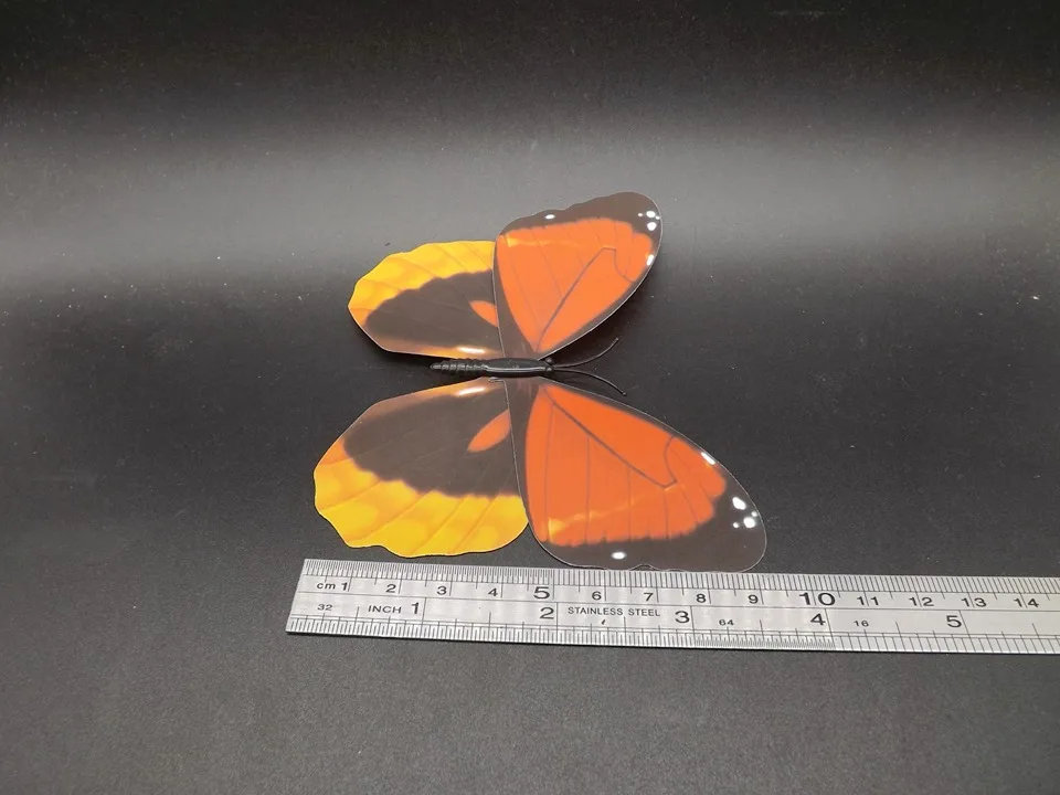 I227-Butterfly (10)
