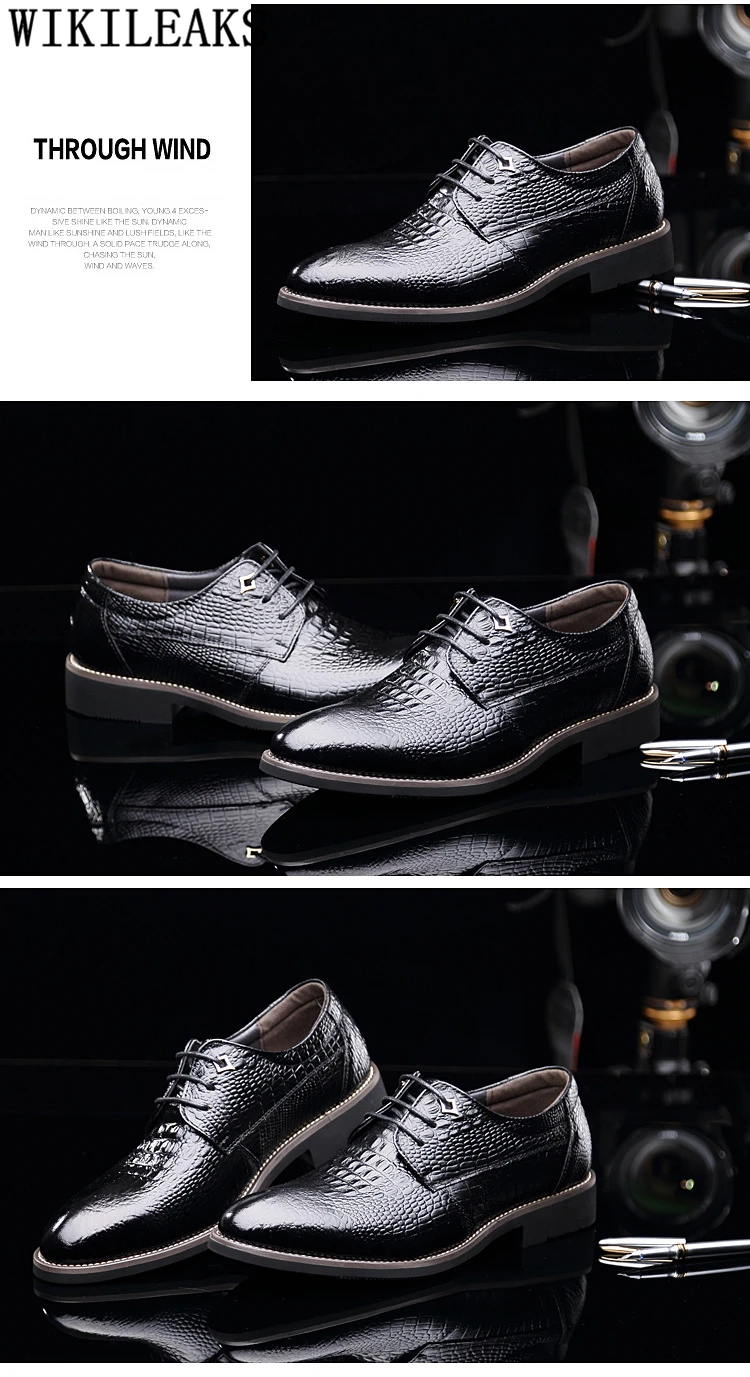 3229292336_394373565