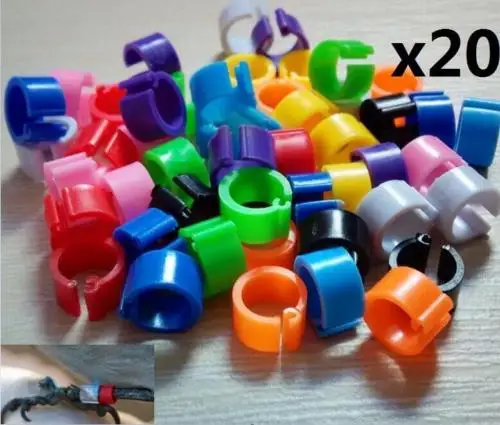 

Chicken Pigeon Hen Leg Band Poultry Dove Bird Chicks Parrot Clip Ring x20