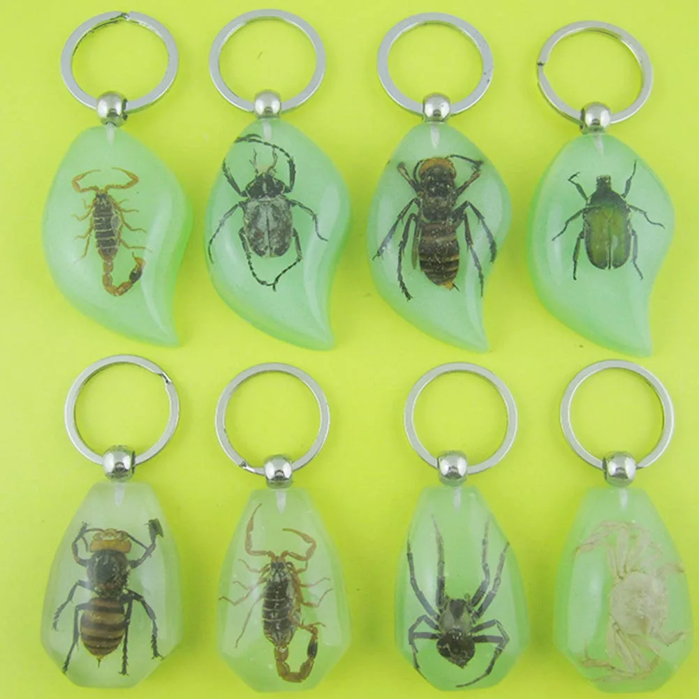 

Color Random Real Green Beetle Lucid Keyring Keychain Insect Jewelry Gift For Men And Women