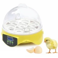 Дешевая цена, китайский Цифровой температурный маленький Брудер, 7 мини инкубаторных яиц, инкубатор для курицы, утки, птицы, голубя, перепела