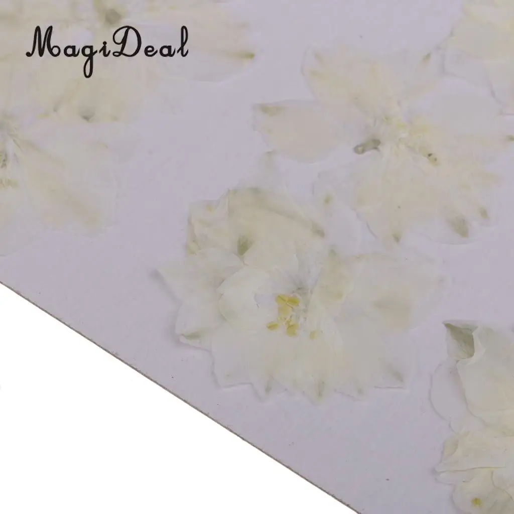 10 / 20Pcs Beautiful Real Pressed Rose Petal Babysbreath Flowers Dried Flowers for Art Craft Scrapbooking DIY Resin Jewelry
