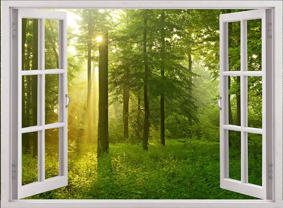 High Quality Renovação da Casa