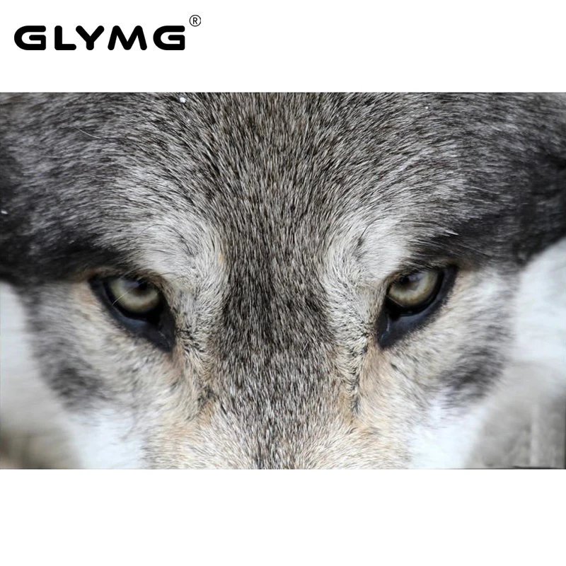 GLymg Needlework Diy Wolf Animal Series Wolf Eyes Diamond Painting Cross Stitch Full Square Diamond Embroidery Home Decor