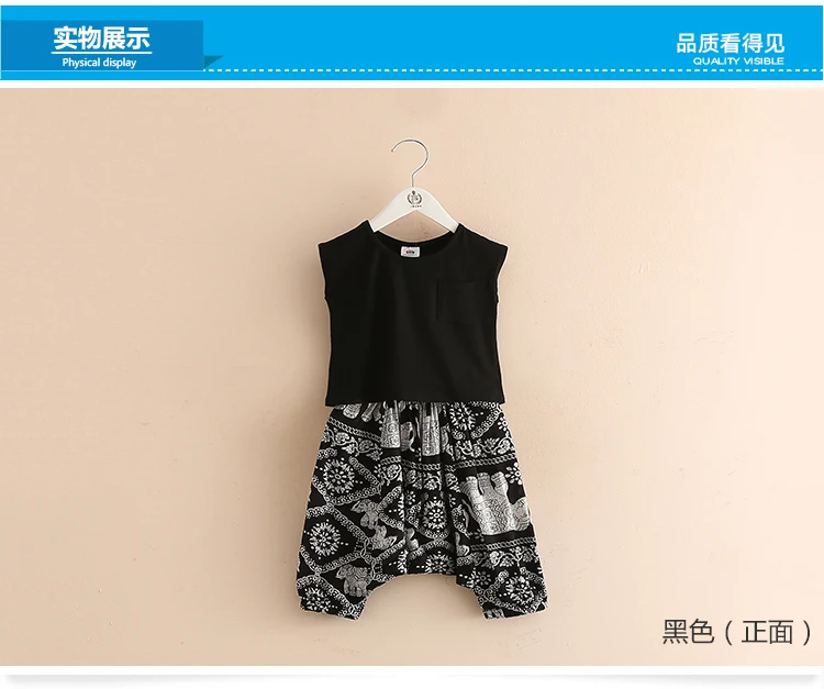 2018 Summer 2-10 Years Old Kids Little Yong Girl Cartoon Print T Shirt+Loose Short Harem Pants 2 Piece Sports Outfits Suit Sets (11)