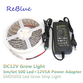 

ReBlue Grow Light Led for plants Fitolampy Full Spectrum Led Grow Light 5m 12V Strip Grow light led plant growing lamp DIY lamps