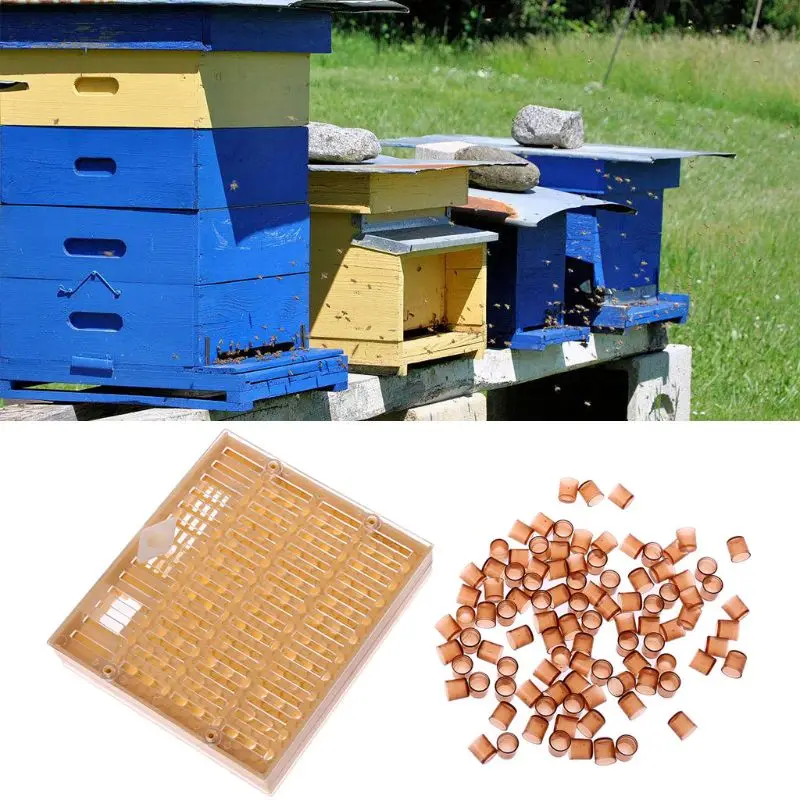 

Beekeeping Equipment Queen Rearing Cell Cup Kit Apiculture System BeeKeeper Cultivate Tool Set