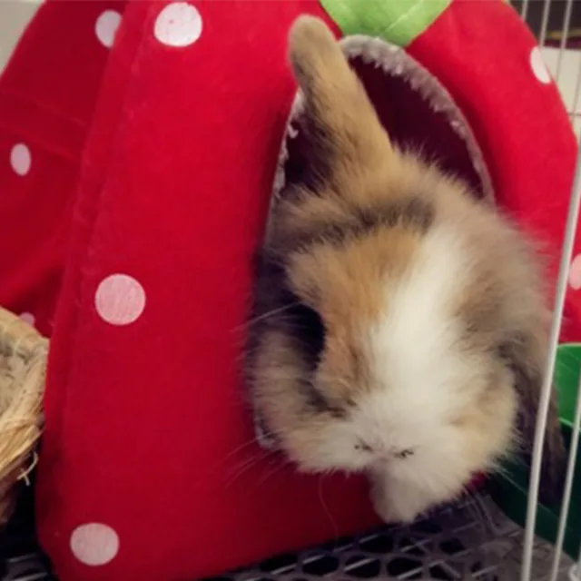 Cute Small Animal Rabbit Guinea Pig Hamster house winter warm squirrel hedgehog chinchilla House cage Nest Hamster accessories