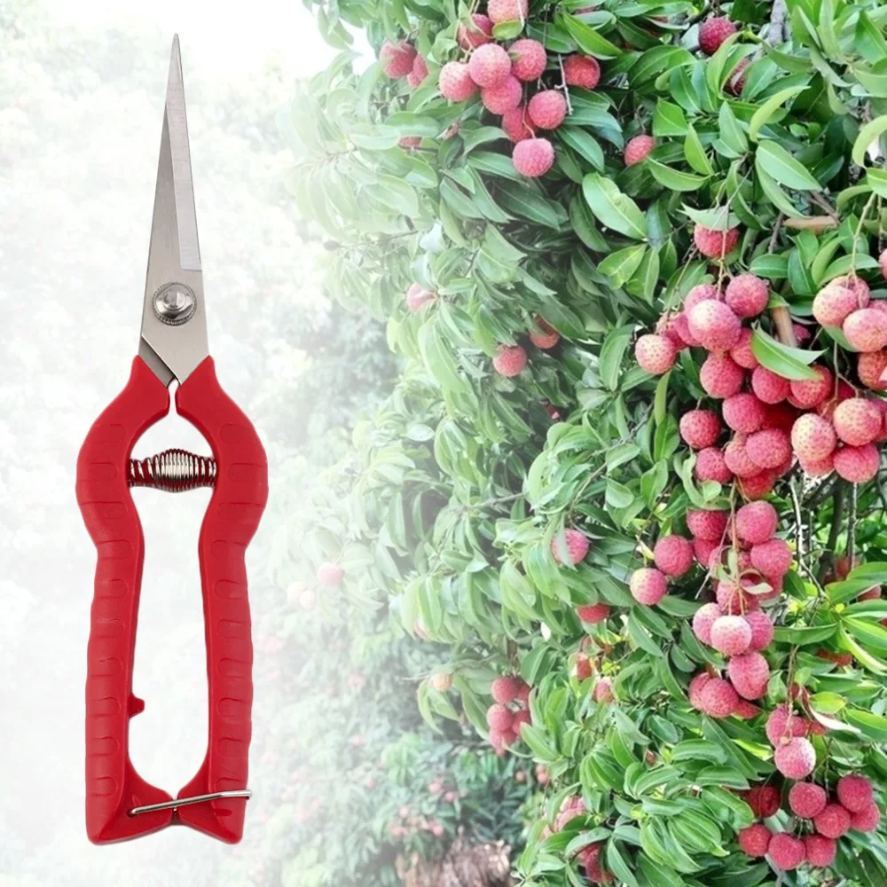 Plant Pruning Scissors Garden Cutter Flower Shears Hand Pruner Tool DIY Worldwide store | Инструменты