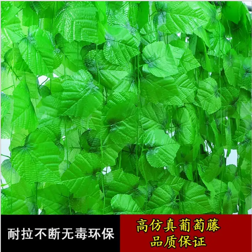 QQ20170721111122