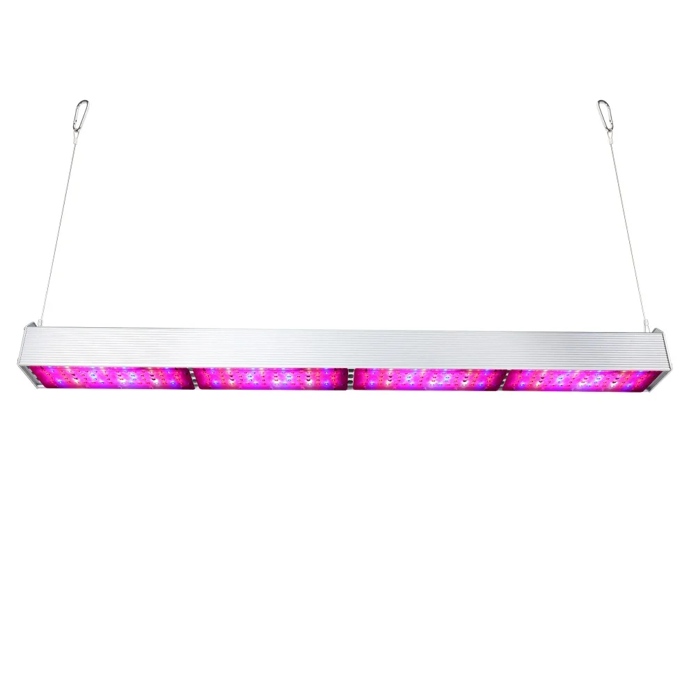 IMG_2195