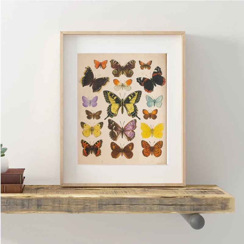 Butterflies Vintage Poster Prints Home Decor