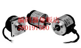 

[BELLA] TK461.S.60.11/30.S.K1.10.PS40.PP2.1130 new Italy technology encoder