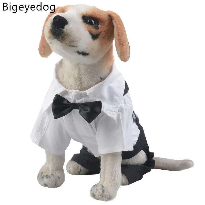 Bigeyedog весна, лето, домашний питомец собака Костюмы, Свадебный костюм для мальчиков, смокинг для собаки Комбинезон Тедди Пудель Чихуахуа Одежда