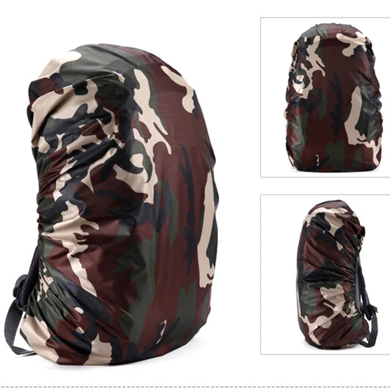 3167293674_273672155_