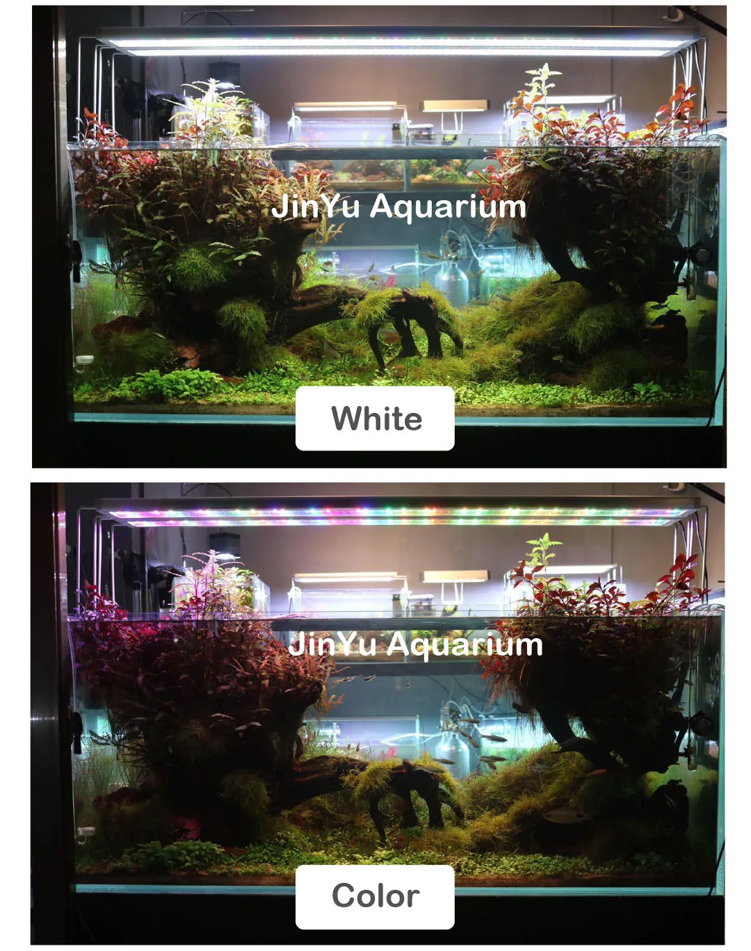 Светодиодный светильник серии WRGB aqua rium Aqua nice растение для выращивания воды