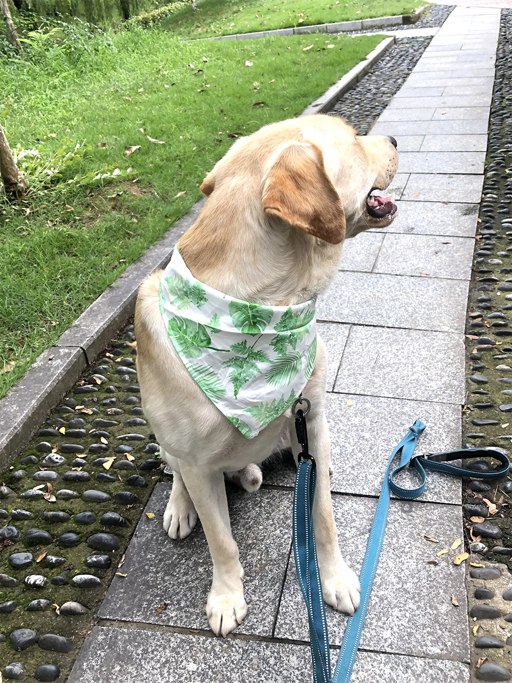 Title 14, 10 Pcs Pet Dog Bandana Tropical Rainforest Styl...