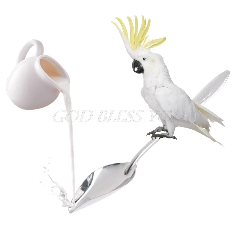 

Bird's Stainless Steel Feeding Spoon Parrot's Milk Powder Spoon Bird Parrot Spoon