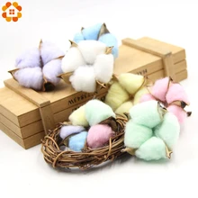 5 шт. красочные Натуральные Сушеные хлопковые Цветочные головки DIY ремесла сушеные прессованные цветы для домашних ВАЗ украшения свадебной вечеринки