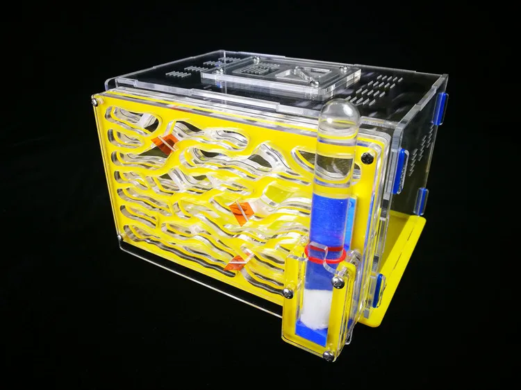Ant-workshop-C1 (7)