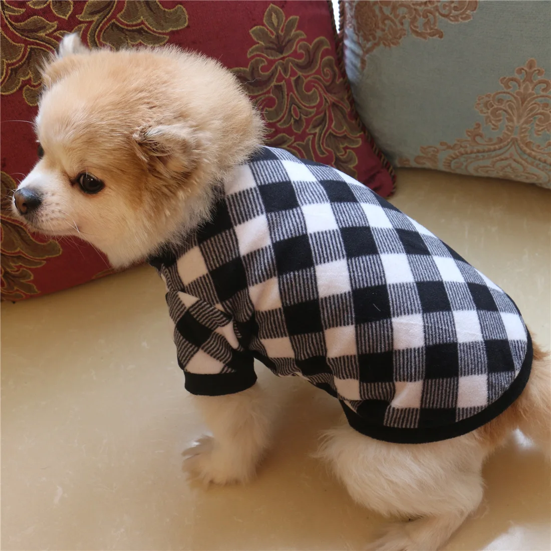 Bigeyedog осенне-зимнее пальто с капюшоном для собак Толстовка Одежда щенков куртка