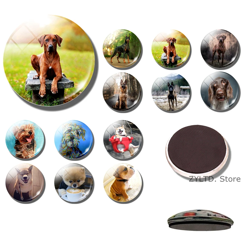 Dog fridge 30MM glass Cabochon Cute Animal Refrigerator Sticker Memo Message