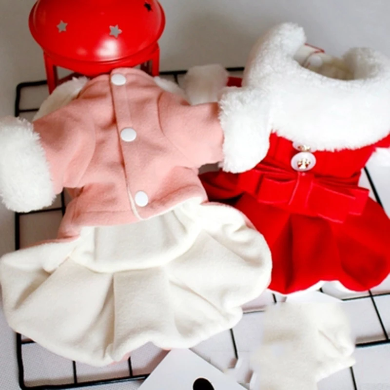 winter clothing dress (1)