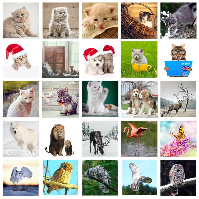 

5D DIY Diamond Painting Painted Cartoon Animals Cats Mosaic Embroidery Animal Cross stitch Embroidery Crafts Decoration 60x60cm