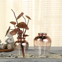 Ваза в скандинавском стиле стеклянная прозрачная Европейская образец вазы Мебель для комнаты Современная Джейн-Европейская гостиная креативный градиентный цвет