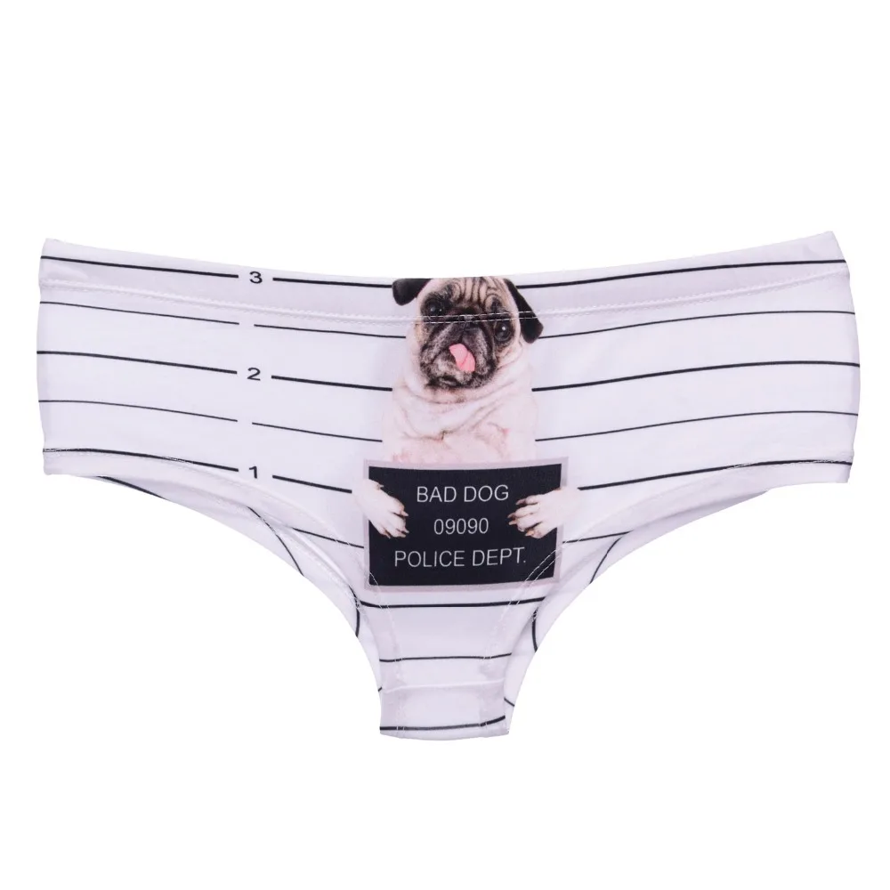 39429 pug jail (3)