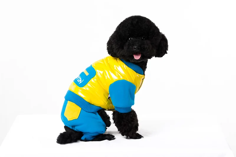 8 dog clothes 