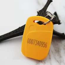 EM4100 RFID Брелок 125 кГц близость брелок для ключей ABS тег с металлическим кольцом только для чтения(упаковка из 10