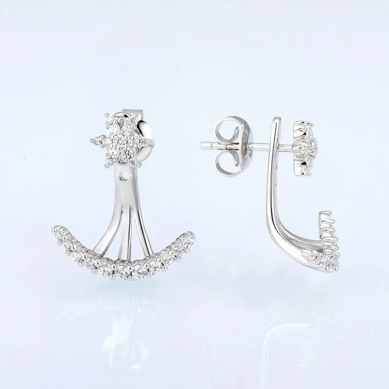 E308737WCZSL925-SV2-Silver Earrings