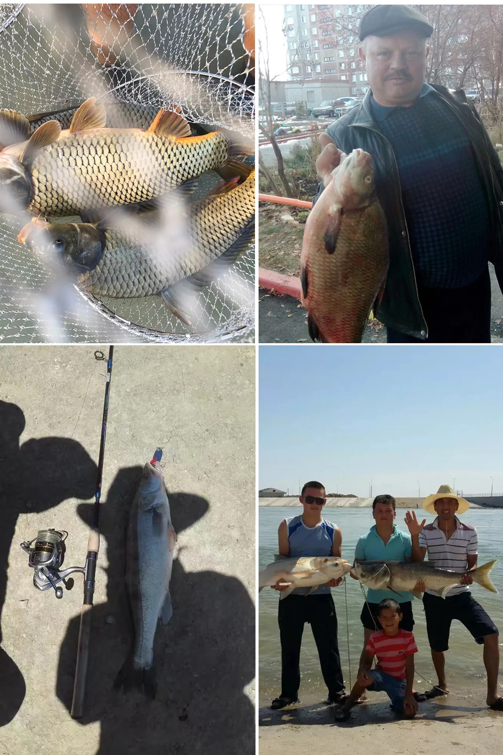 de esferas pesca enfrentar toda a pesca da carpa de metal roda fiação