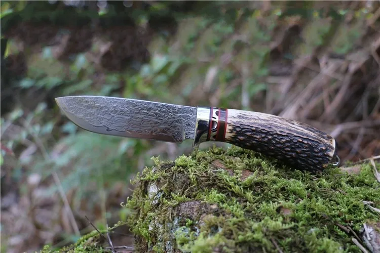 TB2hVkFnpXXXXahXpXXXXXXXXXX_!!2646315462