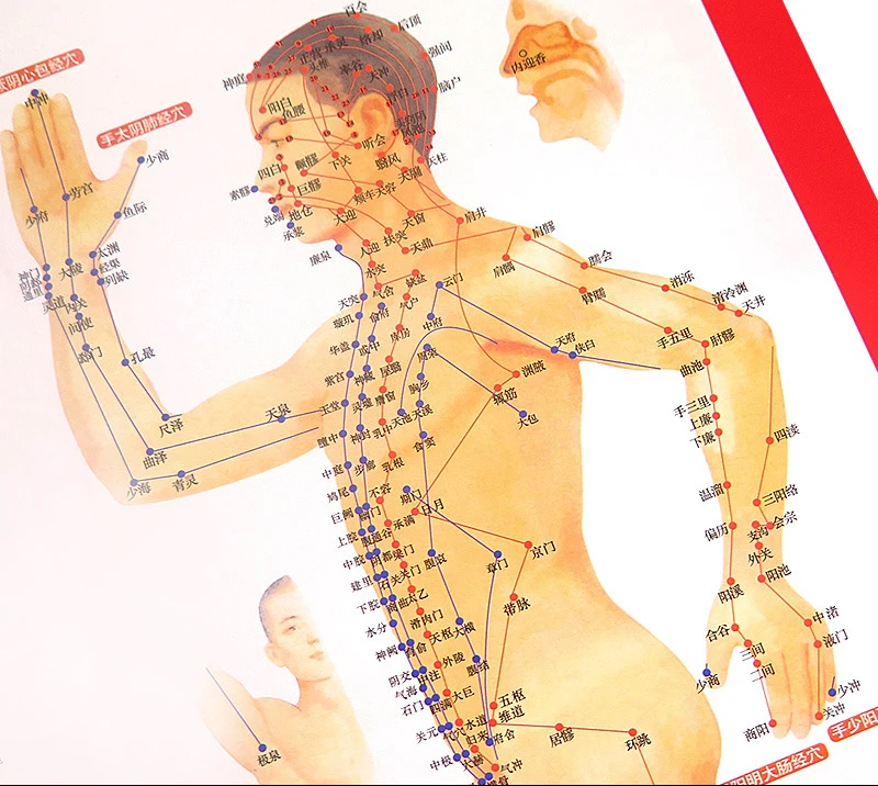 Стандартный Меридиан Акупунктура диаграмма точек и ZhenJiu Moxibustion Acupoint Массажная диаграмма для головы рук ног тела здравоохранения